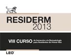 Leo Pharma celebra Residerm 2013