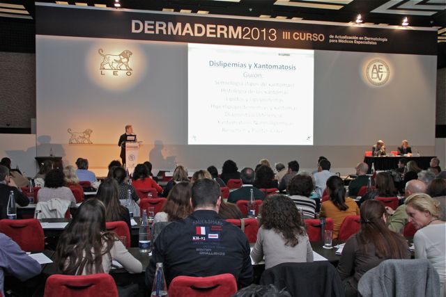 DERMADERM 2013. evento organizado por Imagen Límite