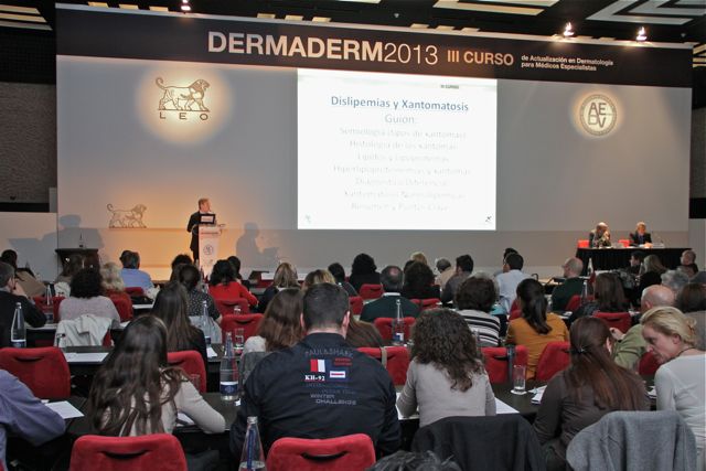 Dermaderm 2013