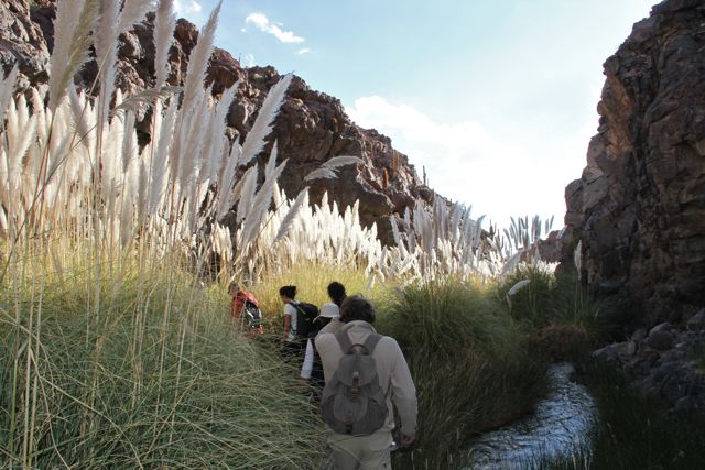 Aventura en Atacama. Incentivos en Chile