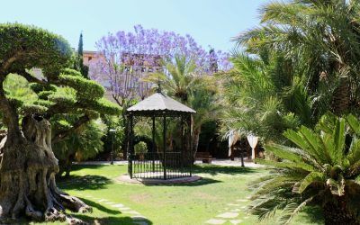 Villa Antonia, un Oásis en la Costa Alicantina